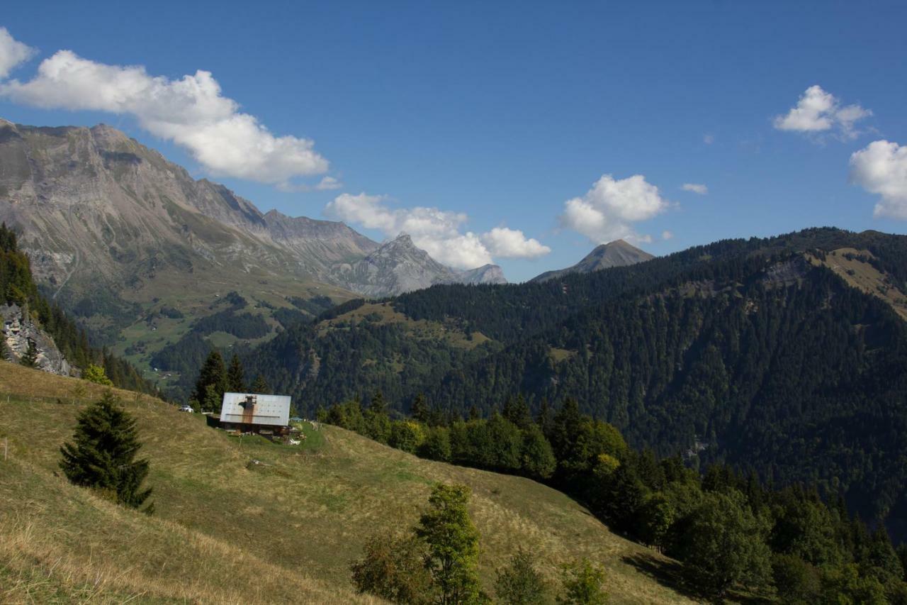 Reine des Aravis - chalet isolé Flumet Extérieur photo