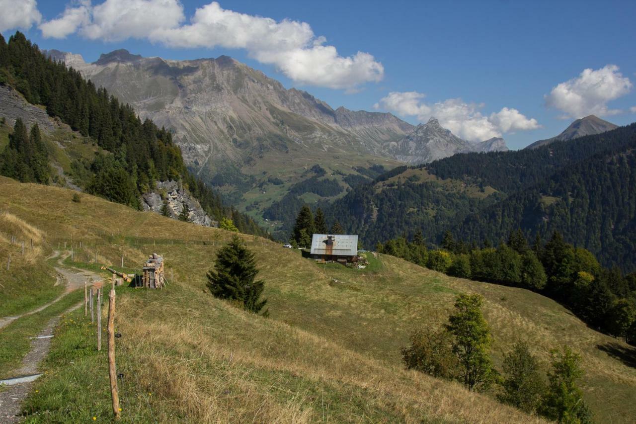 Reine des Aravis - chalet isolé Flumet Extérieur photo
